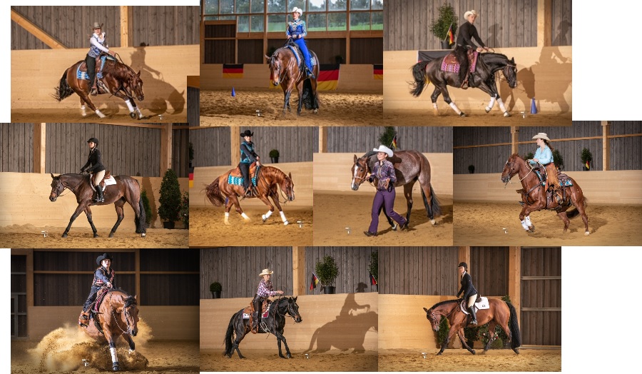 Virtual AQHA Youth World Cup 2020 dqhash.de